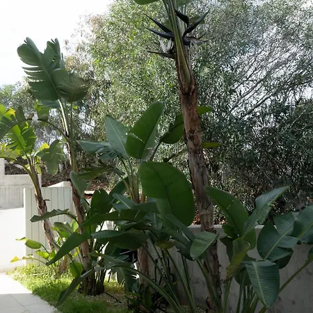 Wealthystays Niceday Hill Villa, 10m Walk To Protaras