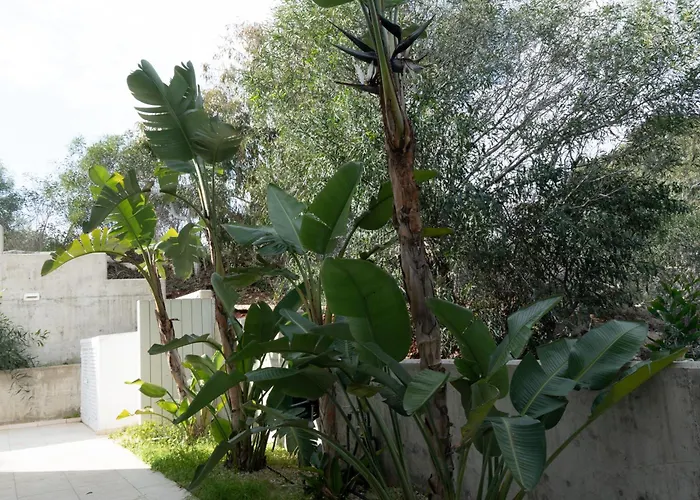 Wealthystays Niceday Hill Protaras